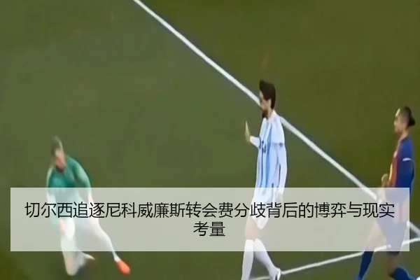 切尔西追逐尼科威廉斯转会费分歧背后的博弈与现实考量